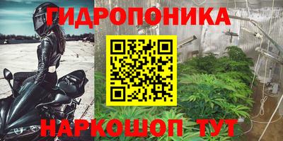 спиды Канаш