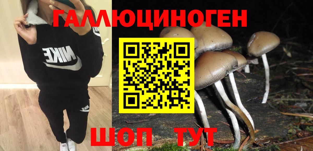 Псилоцибиновые грибы ЛСД Лесозаводск